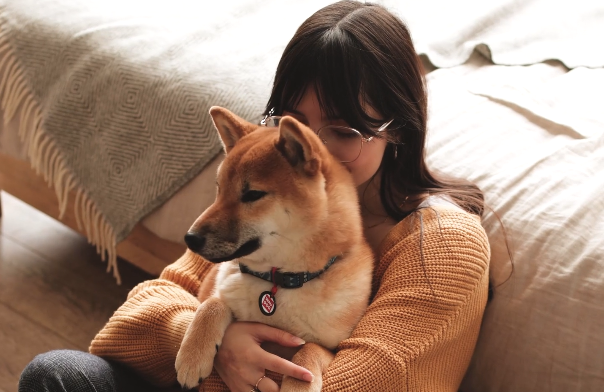 My Girlfriend And My Dog Were In The Same Room - What Happened Still Haunts Me To This Day-5